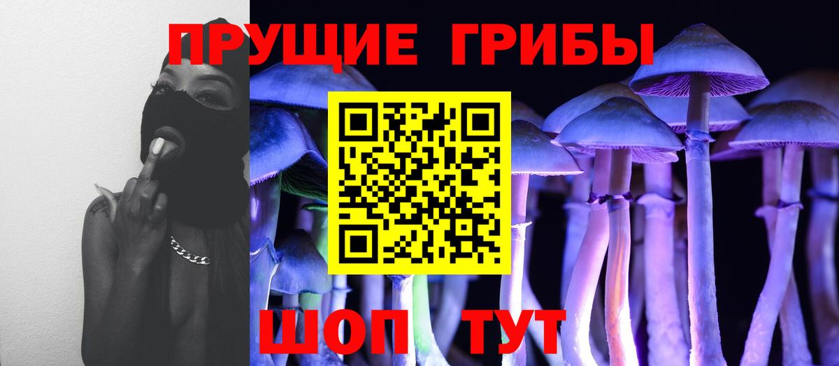 Красноармейск  Псилоцибиновые грибы Magic Shrooms  Вход с VPN  Псилоцибиновые грибы прущие грибы 